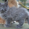 klt3dsc_0554