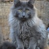 klt3dsc_0686