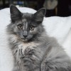 DSC_1001