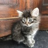 IMG_0649.JPGstreepje3